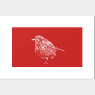 Little Inverted Robin Redbreast Posters and Art